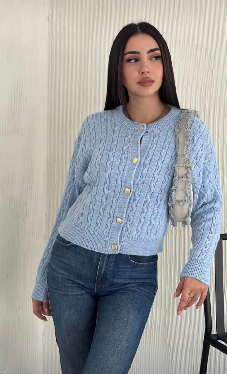 Blue Celine Cardigan