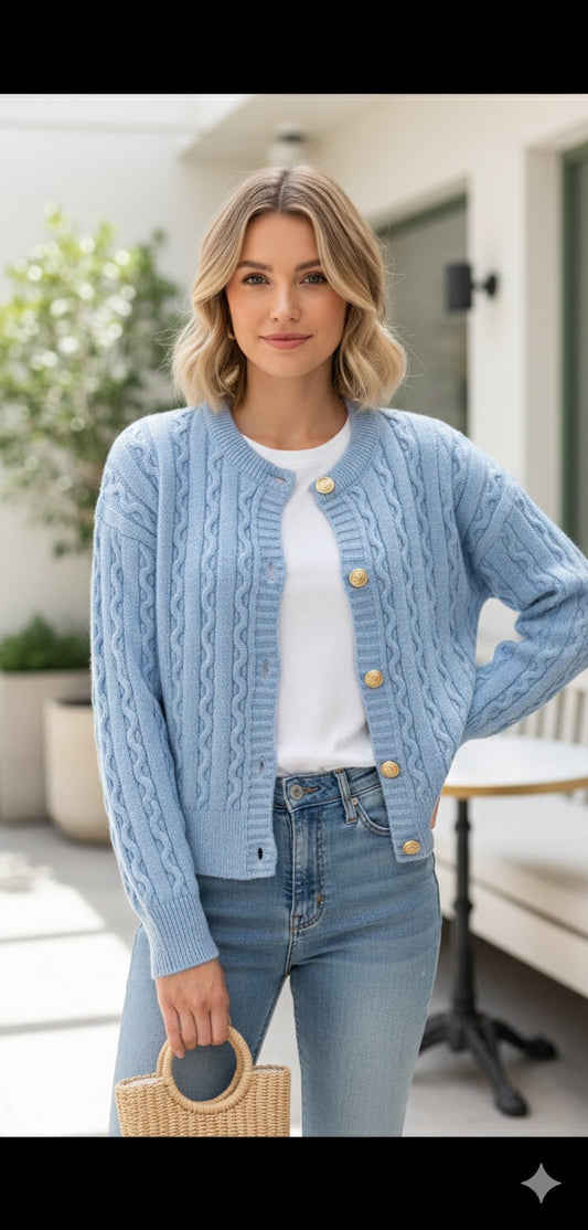 Blue Celine Cardigan